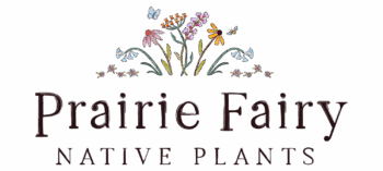 Prairie Fairy Native Plants