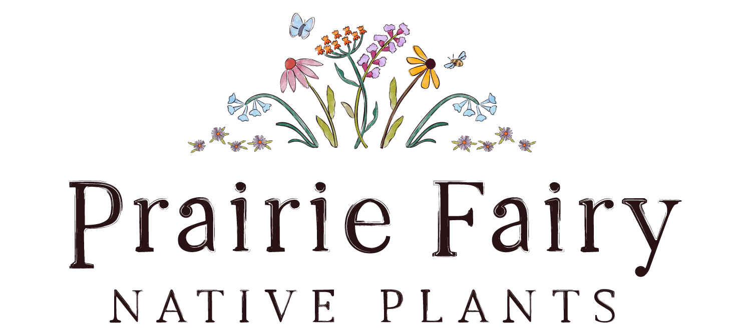 Prairie Fairy Native Plants